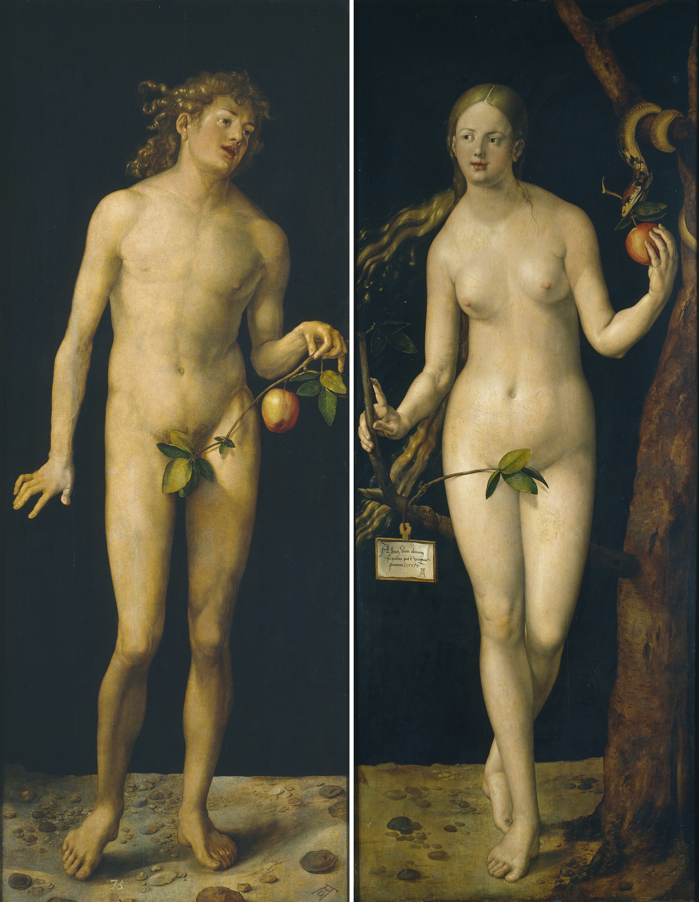 Adam et Ève Dürer 1507